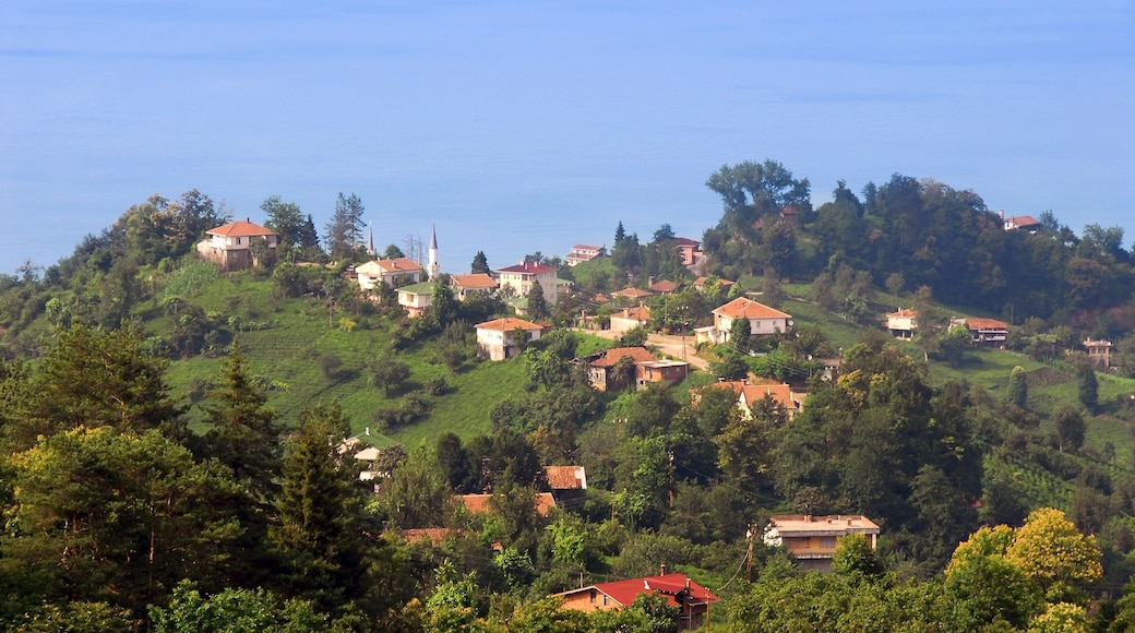 ์๋ฅด๋ฏธ๋ค