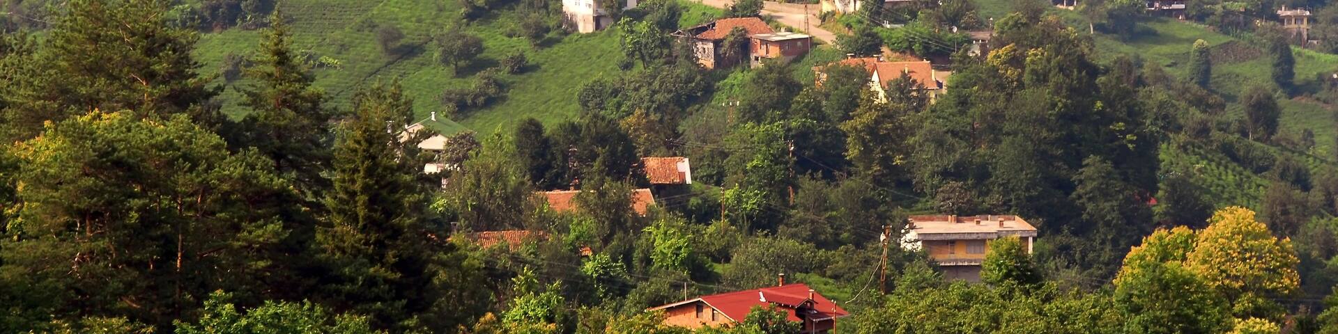 TRABZON, TURKEY - JUNE 28, 2008: Bastimar Quarter, Tea plantations and Black Sea. Surmene District