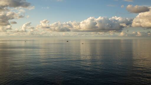 ์ ๋ถ๋ฅด๋