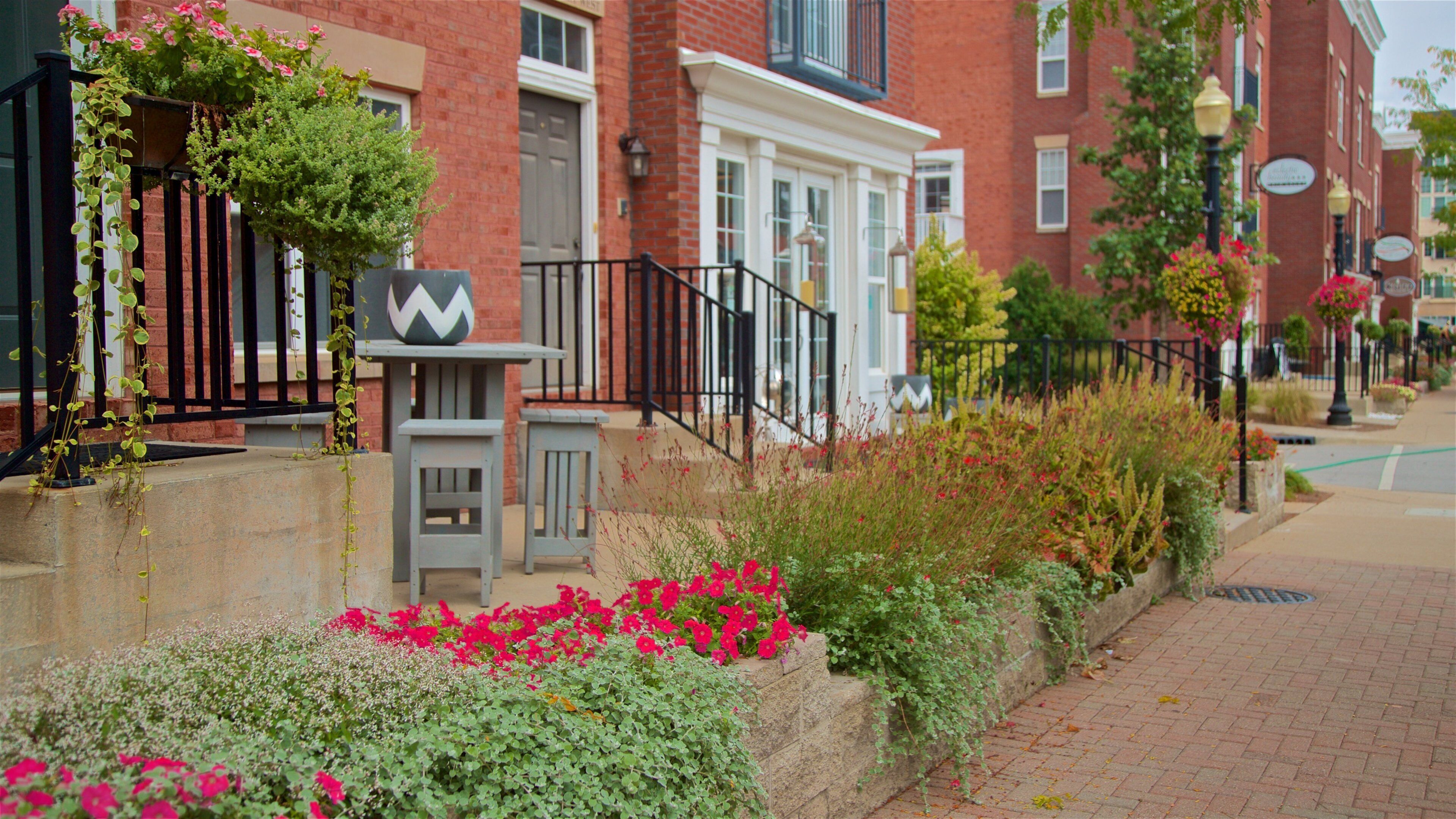 Carmel Arts and Design District which includes wild flowers