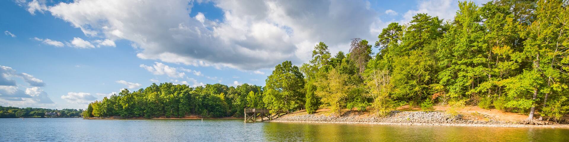 Tree stump in Lake Wylie, at McDowell Nature Preserve, in Charlotte, North Carolina.; Shutterstock ID 520754032; Purchase Order: -
