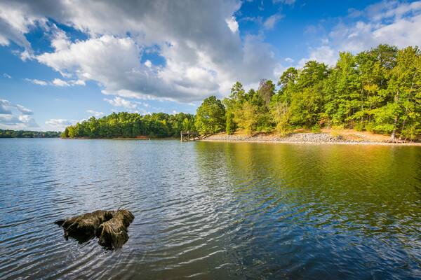 Tree stump in Lake Wylie, at McDowell Nature Preserve, in Charlotte, North Carolina.; Shutterstock ID 520754032; Purchase Order: -