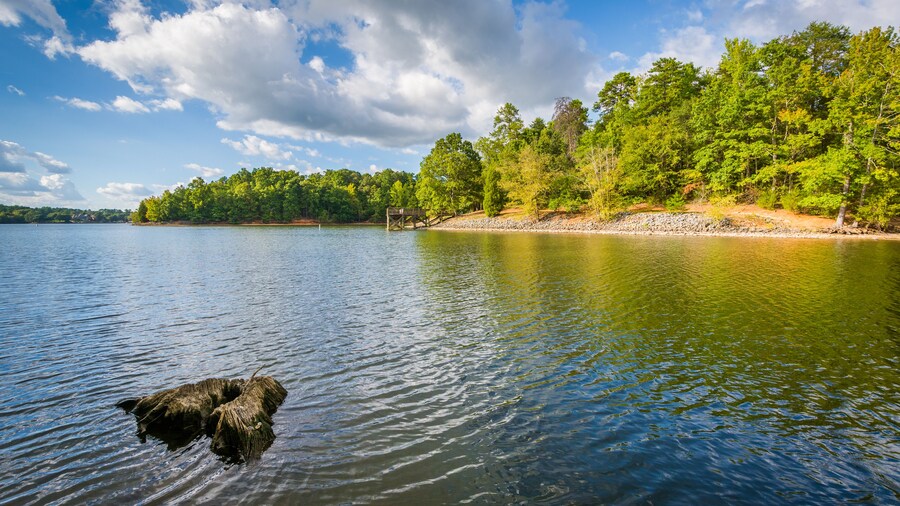 Tree stump in Lake Wylie, at McDowell Nature Preserve, in Charlotte, North Carolina.; Shutterstock ID 520754032; Purchase Order: -