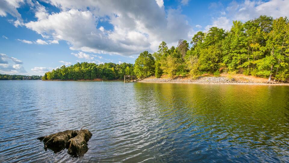 Tree stump in Lake Wylie, at McDowell Nature Preserve, in Charlotte, North Carolina.; Shutterstock ID 520754032; Purchase Order: -