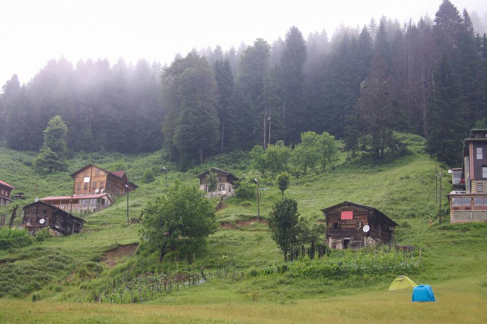 Paisatge rural amb diverses cases de fusta sobre un turó, envoltat d'una forest densa.