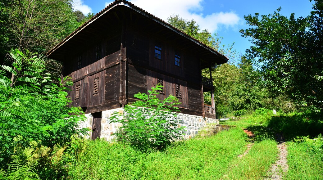 The Historical Meyveli Village Mosque, located in Findikli, Rize, Turkey, was built in the 19th century. It is made entirely of wood.