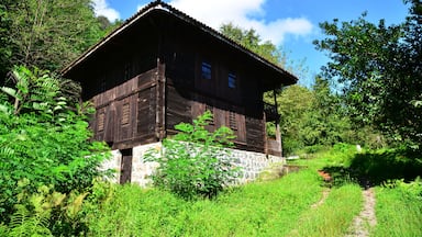 The Historical Meyveli Village Mosque, located in Findikli, Rize, Turkey, was built in the 19th century. It is made entirely of wood.