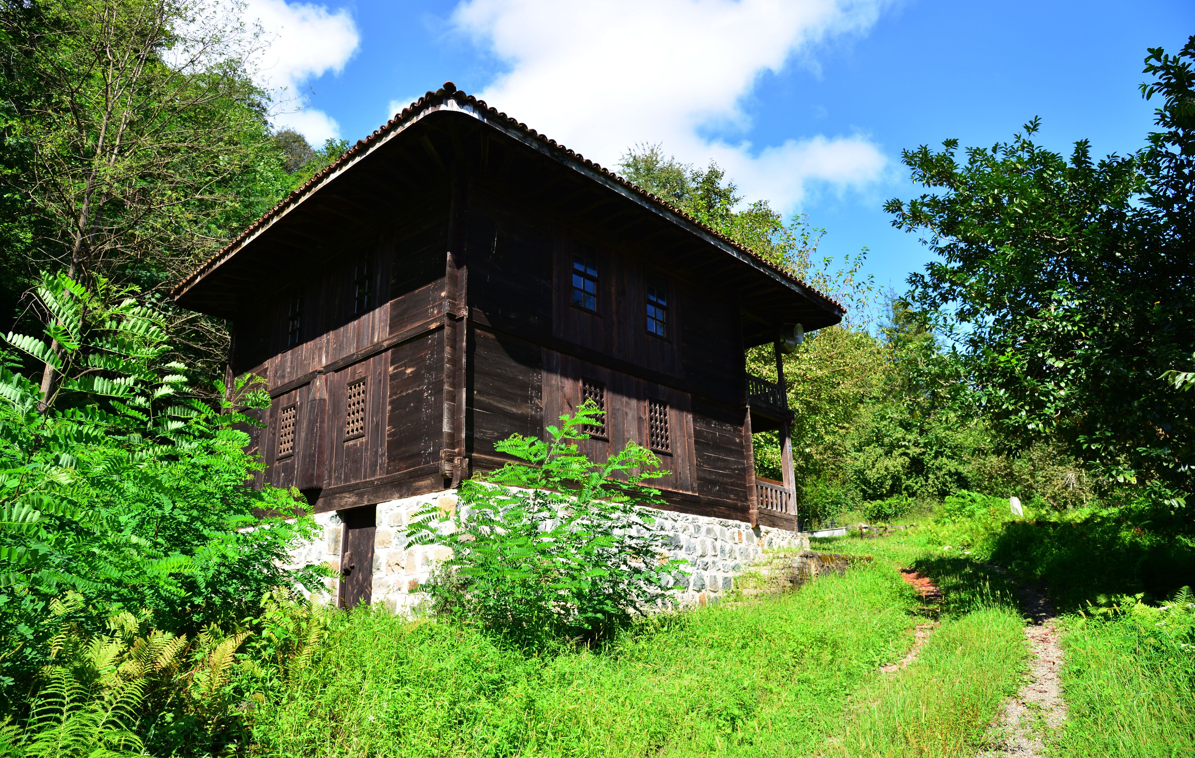 A wooden house surrounded by lush greenery and a clear blue sky.