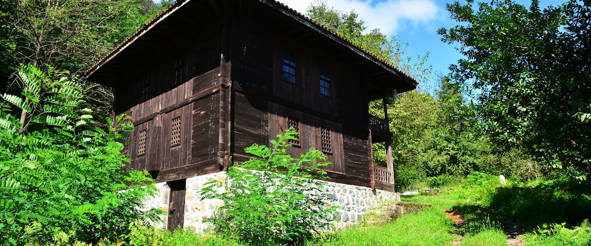 A wooden house surrounded by lush greenery and a clear blue sky.
