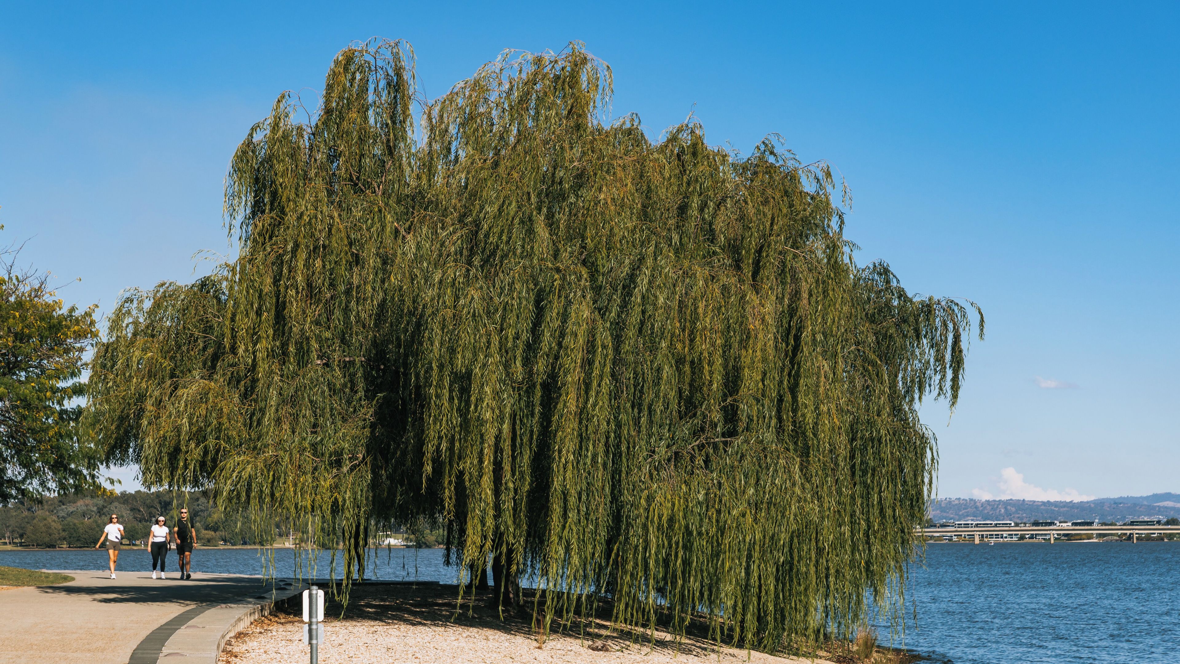 Commonwealth Park