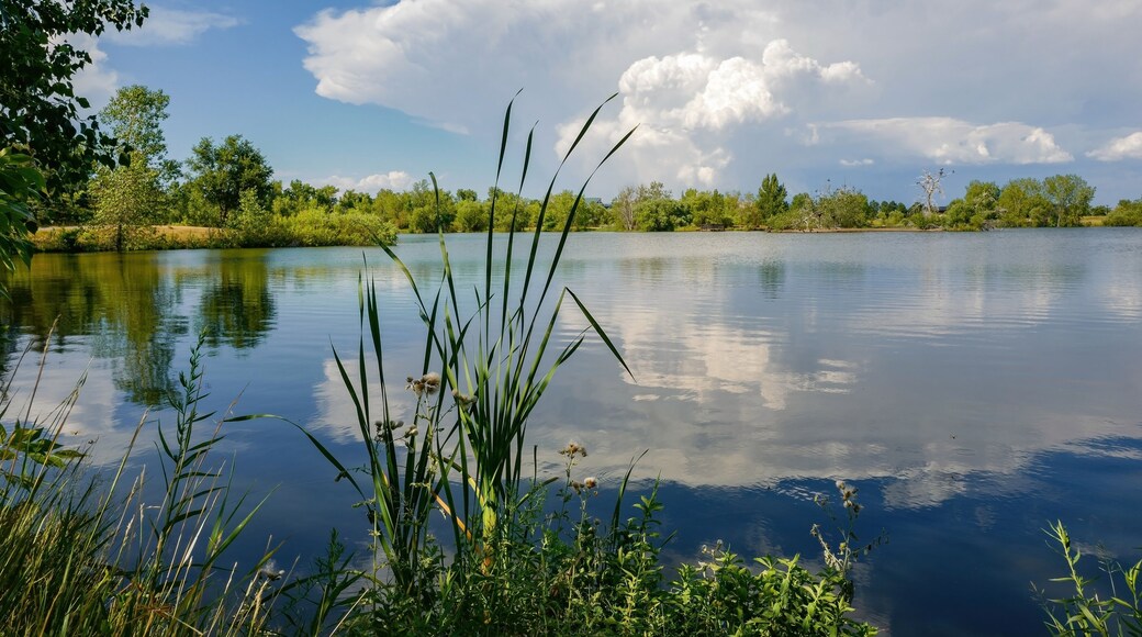 レイクウッド パーク