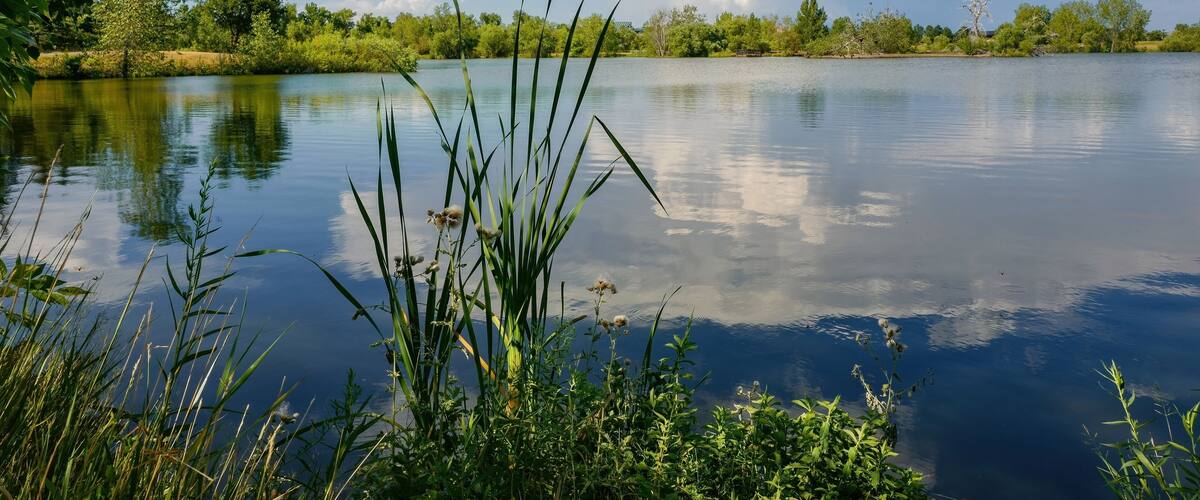 A scenic view of Kountze Lake at Belmar Park a wonderful wildlife refuge for small mammals and birds in Lakewood, Colorado.