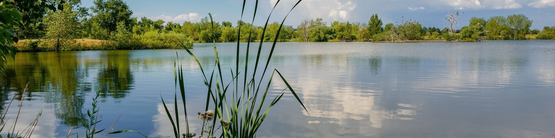 A scenic view of Kountze Lake at Belmar Park a wonderful wildlife refuge for small mammals and birds in Lakewood, Colorado.