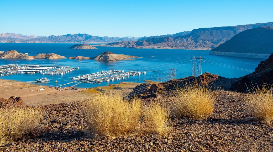 Marina/puerto deportivo Blue Water Marina Park