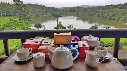 We found this place by random while we were driving in the rain, hungry and a little lost. The restaurant was closed but for 100 rupees, you can try all the tea you want with one of the most impressive tropical views we've seen on the island!
#mauritius #tea #teatime #afternoontea