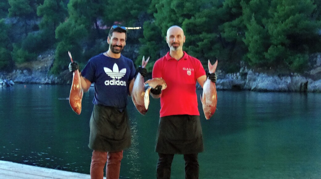 Never had fish fresher! The beautiful small harbour & fishing port of Agnondas on the stunning island of Skopelos has three lovely harbourside tavernas. Together with local traditional Greek dishes you can enjoy fish straight out of the sea.
Here two guys from one of the tavernas have walked to the end of the little wooden jetty and collected these fresh fish straight from the fisherman.
Later in the evening, once they have been cleaned and prepared, they will be on someones plate!
#GoodEats