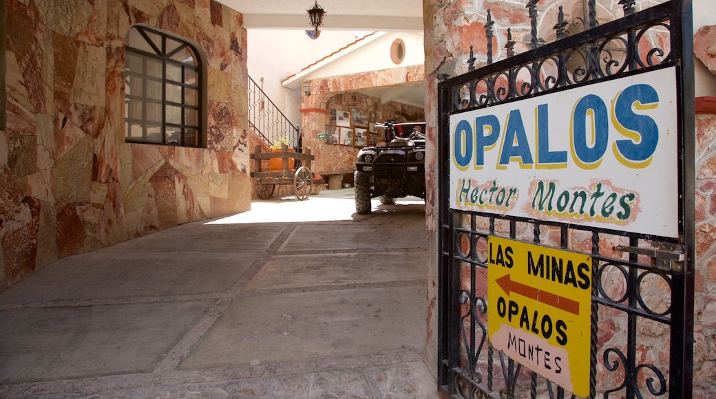 Tequisquiapan Opal Mine featuring signage