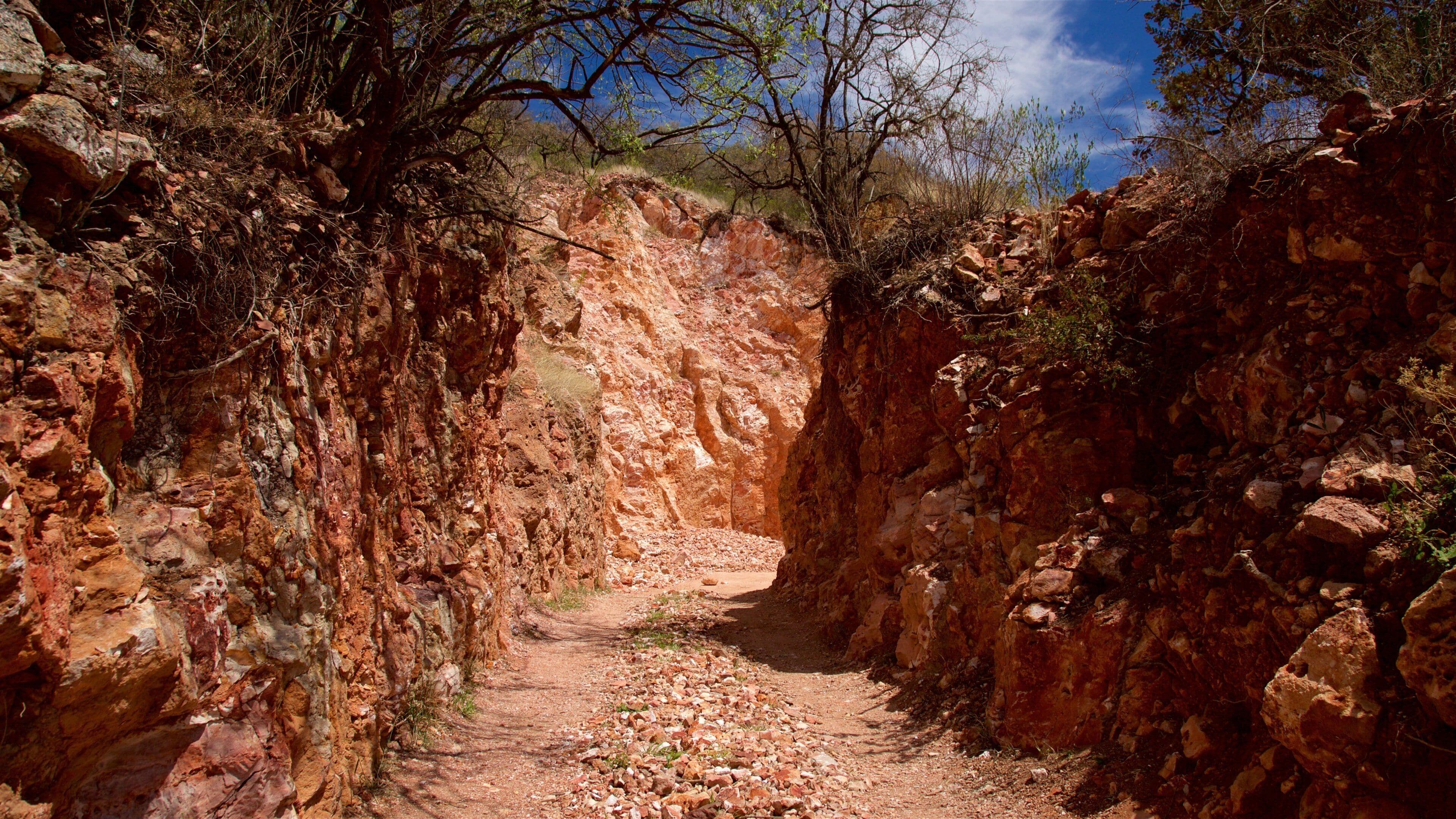 떼끼스키아판 오팔광산 을 특징 한적한 풍경