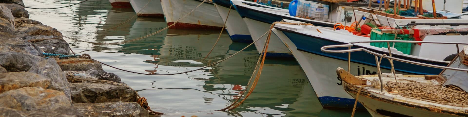 fishing boats in the harbor