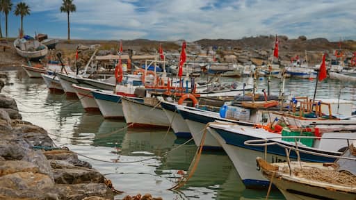 fishing boats in the harbor