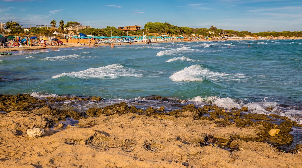 Plage de Punta Prosciutto
