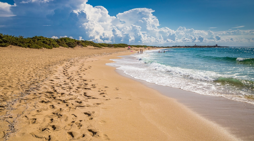 Plage de Punta Prosciutto