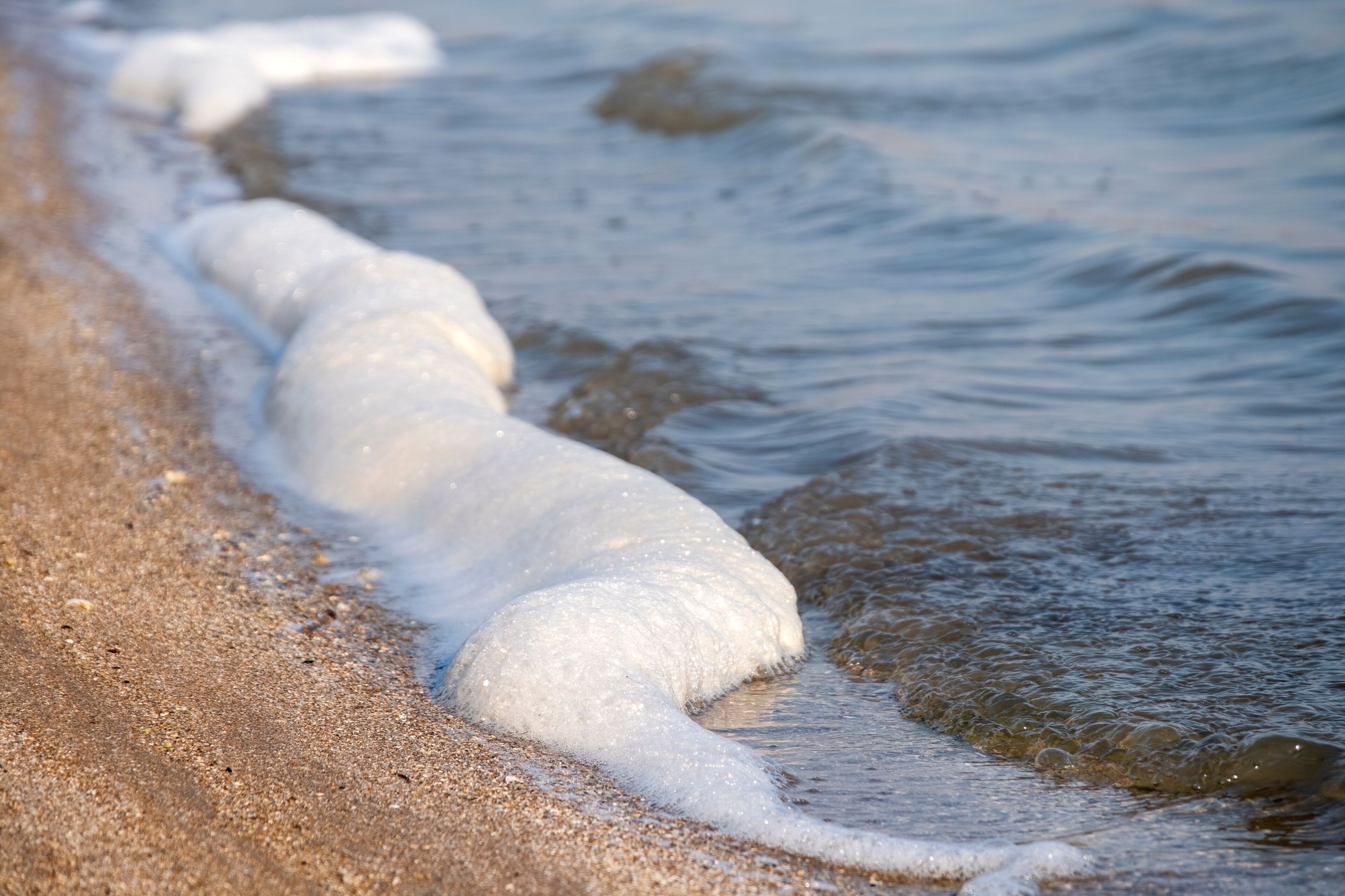 Sea Foam, Yumurtalik Lagoon, Adana, Turkey