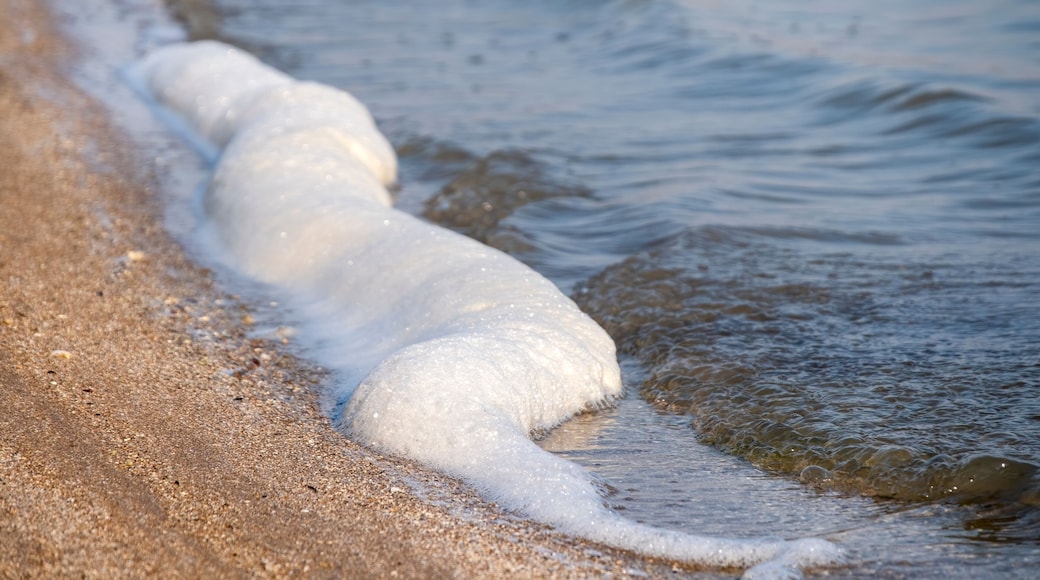 Sea Foam, Yumurtalik Lagoon, Adana, Turkey
