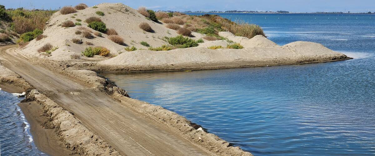 A coastal landscape with a dirt path leading to a sandy beach, surrounded by dunes and sparse vegetation.