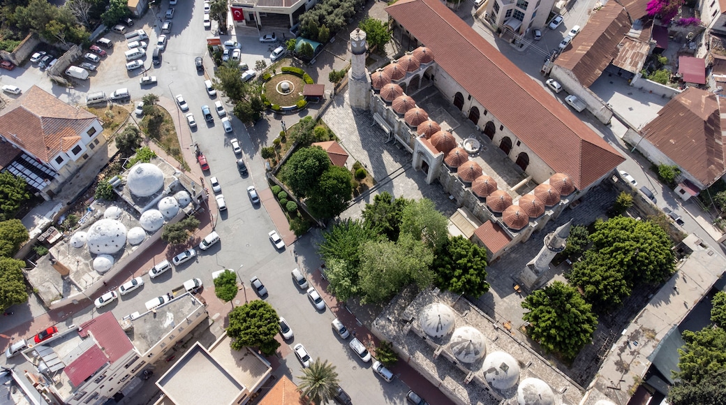 Tarsus
