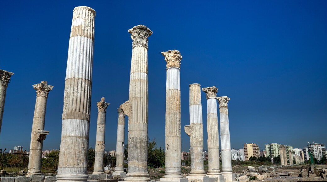 ๋ฉ์งํ๋ฆฌ