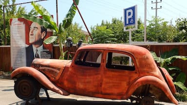Local Restaurant in Mersin.
