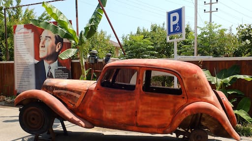 Local Restaurant in Mersin.