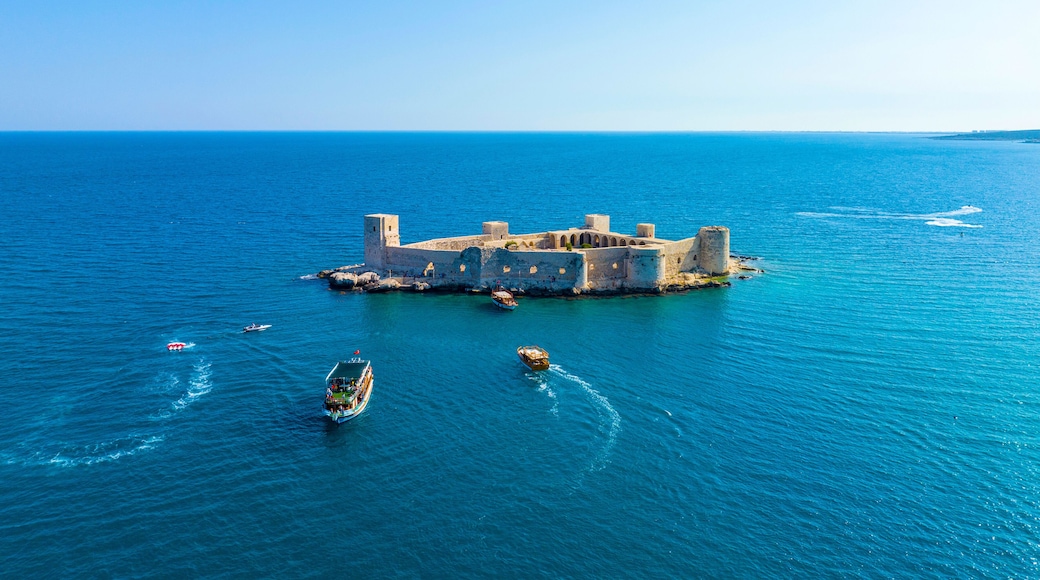 ์๋ฅด๋๋ฆฌ