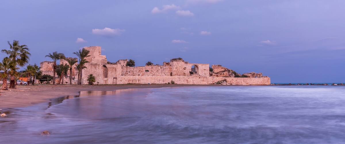 A coastal castle with palm trees and a calm sea.