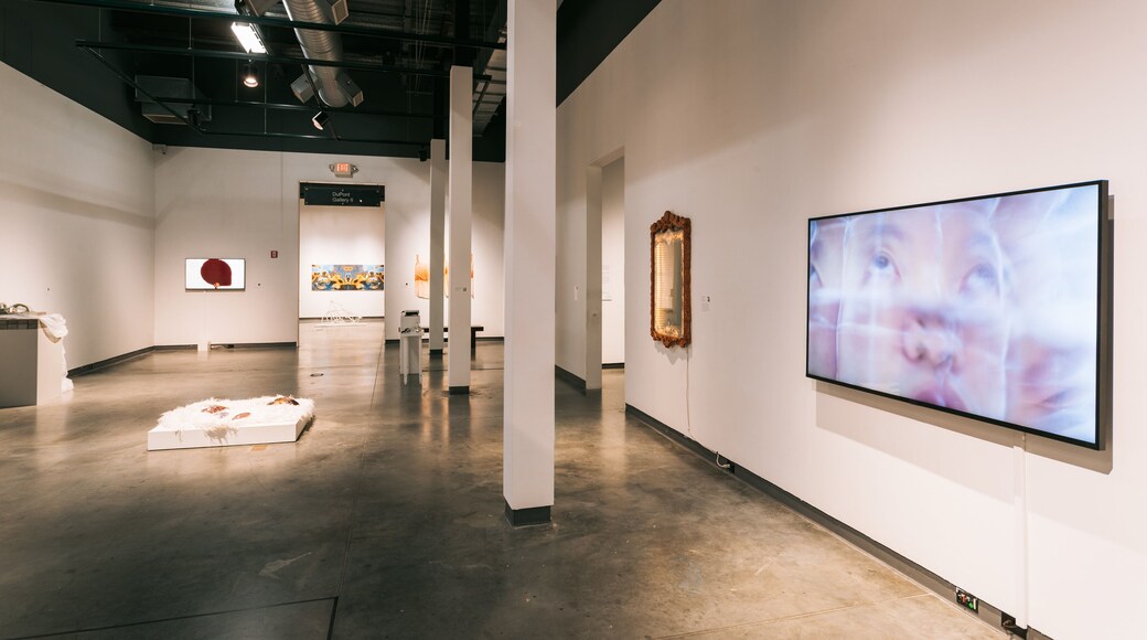 Delaware Center for the Contemporary Arts which includes interior views and art