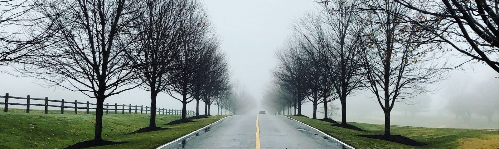 A foggy morning in Delaware