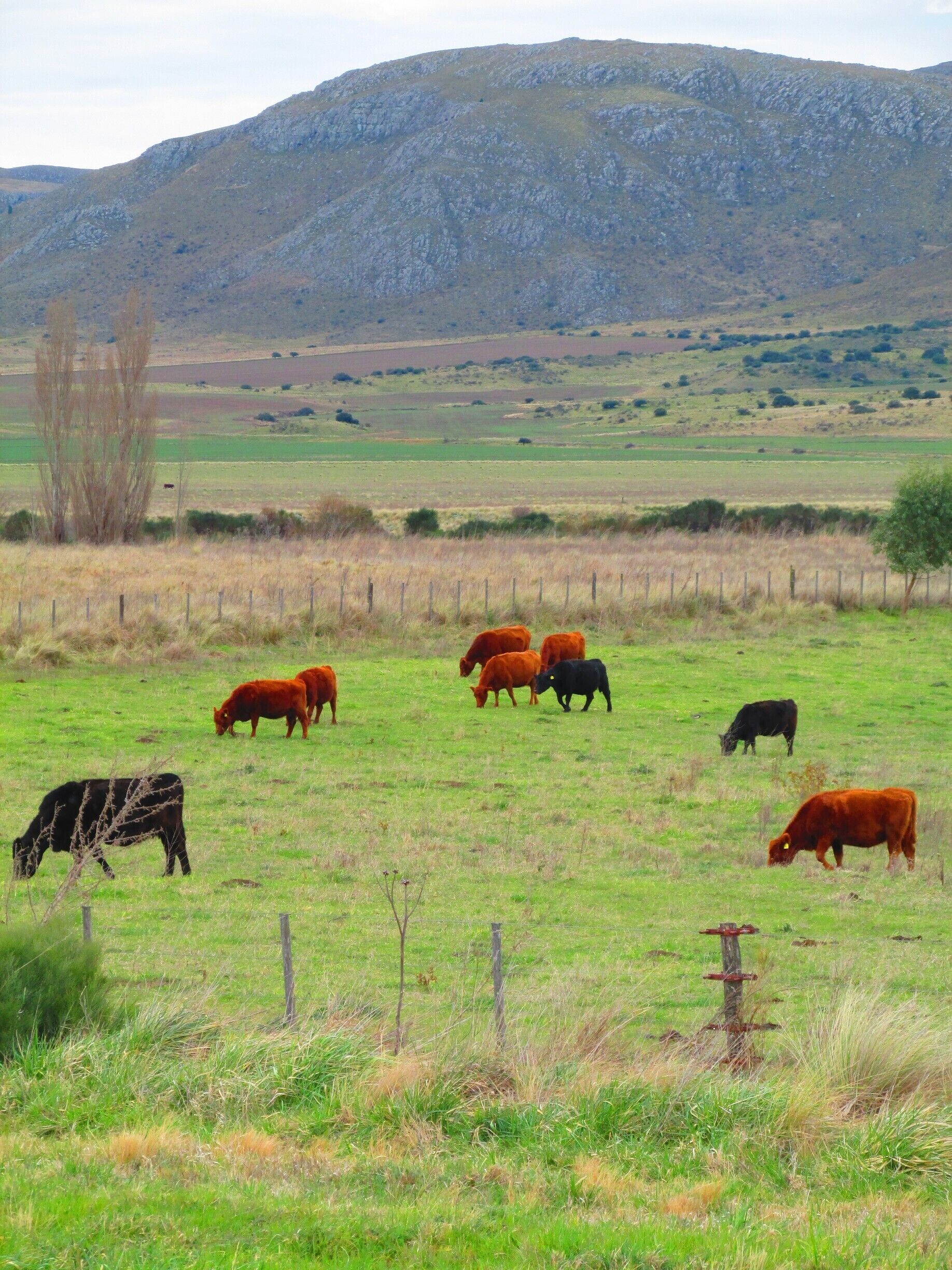 A 6 horas de Buenos Aires. Lindo lugar para caminar entre las sierras.
#trekking
#camp