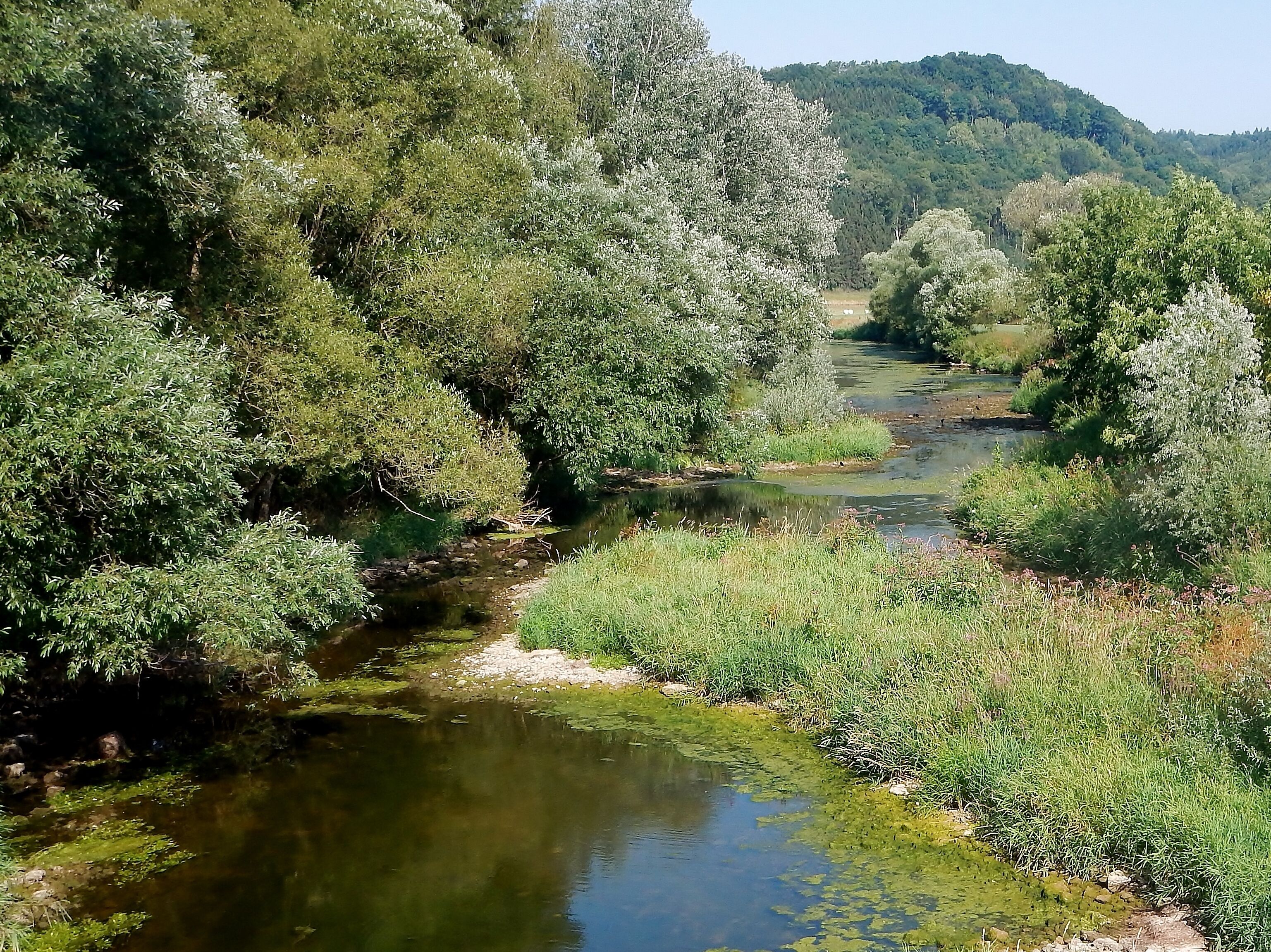 Die Jagst bei Langenburg