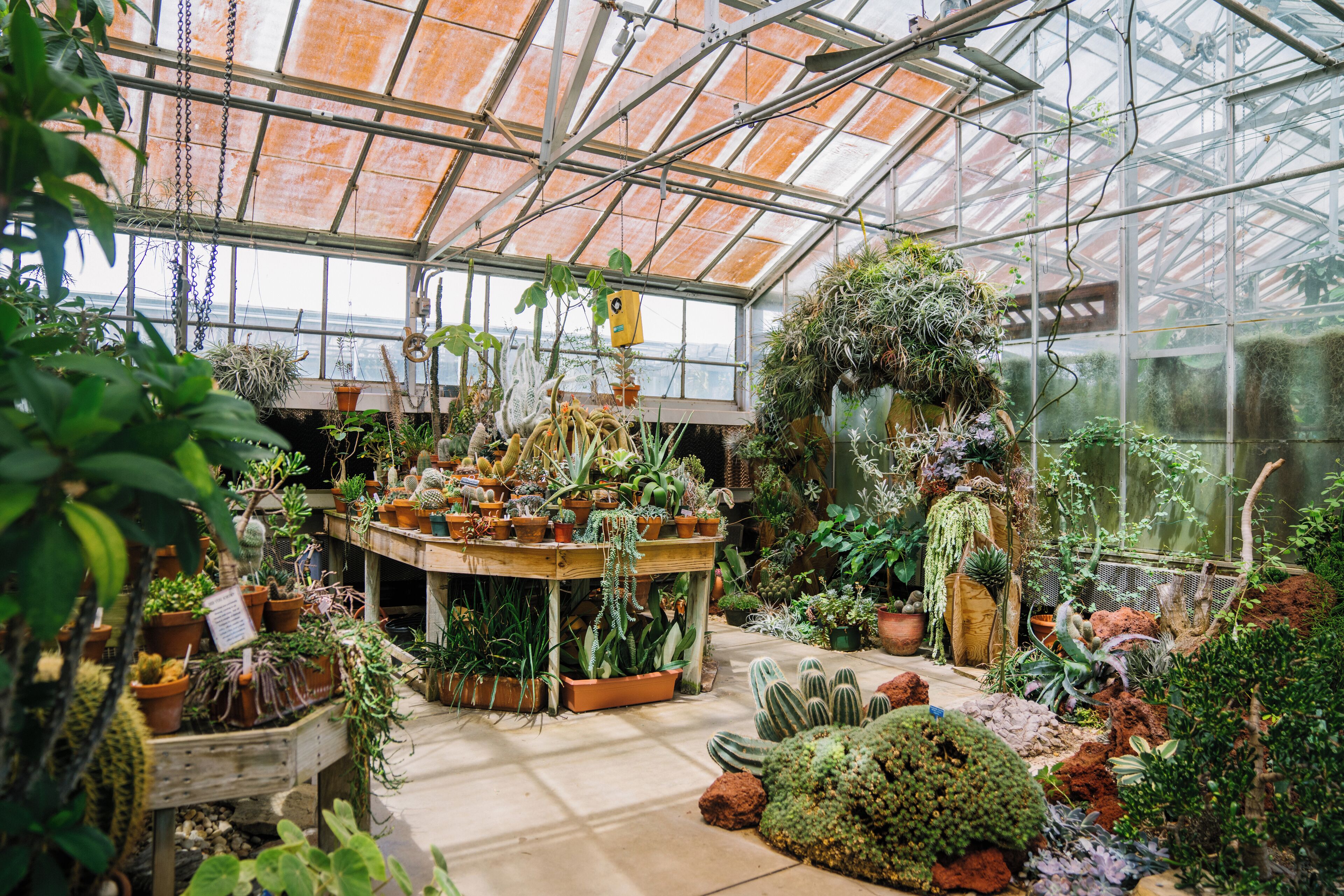 Botanischer Garten UNC Charlotte