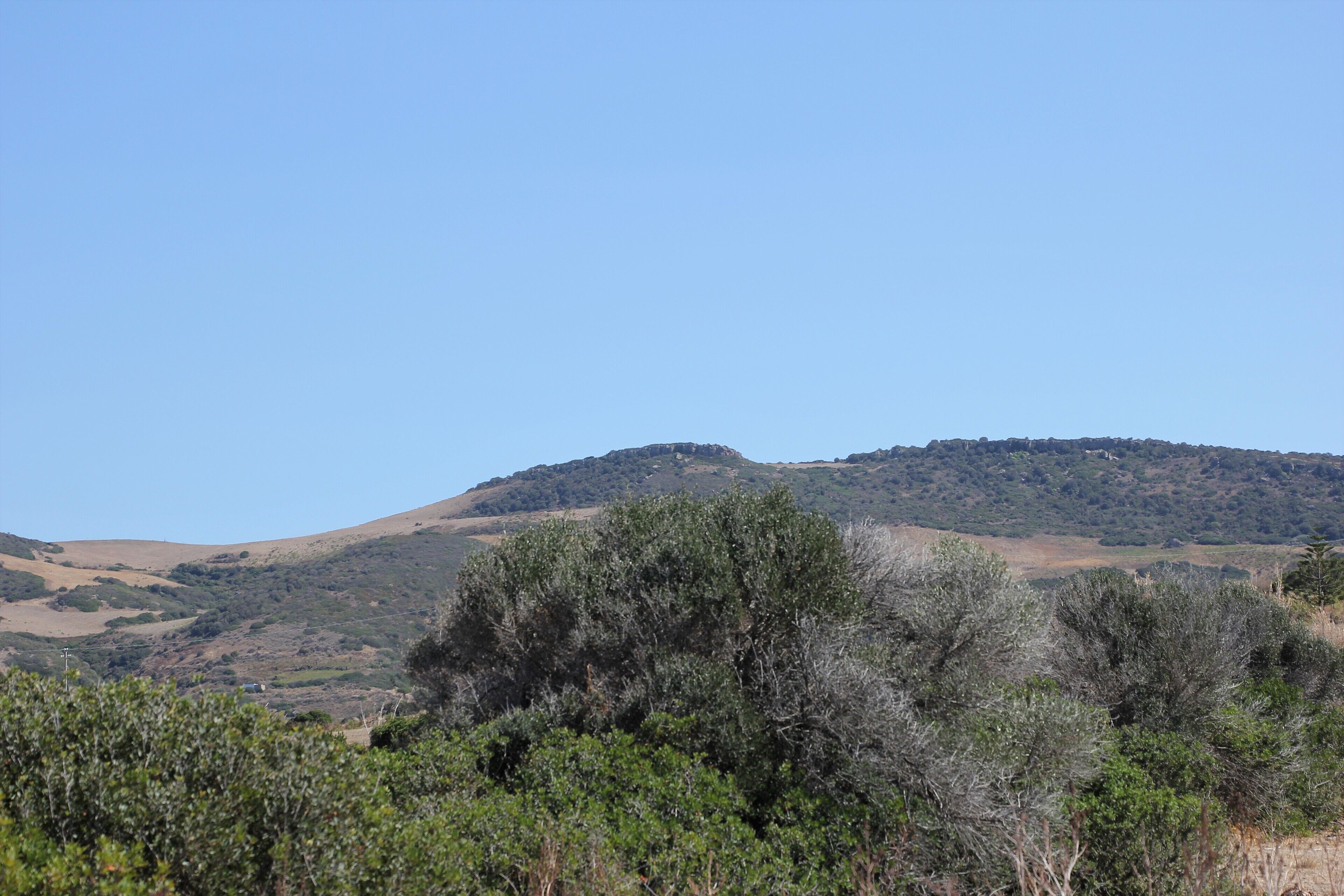 Tergu, punta Cuntralta