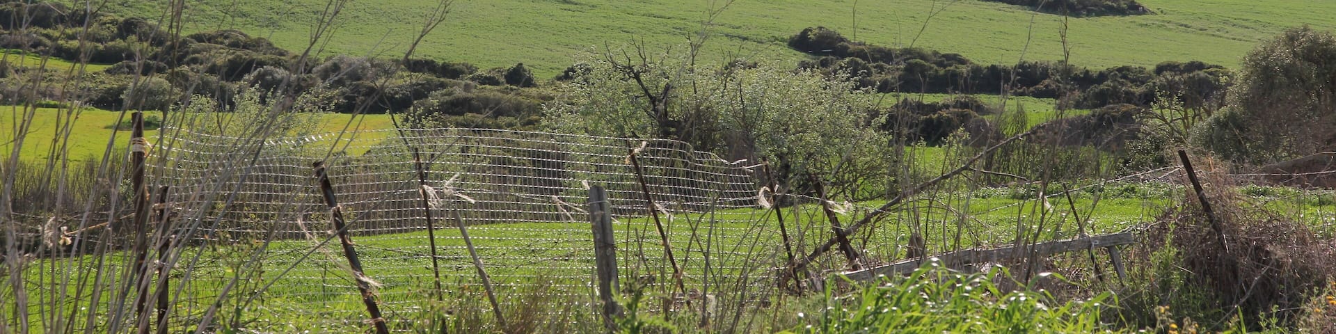 Tergu, frazione Pulpaggiu