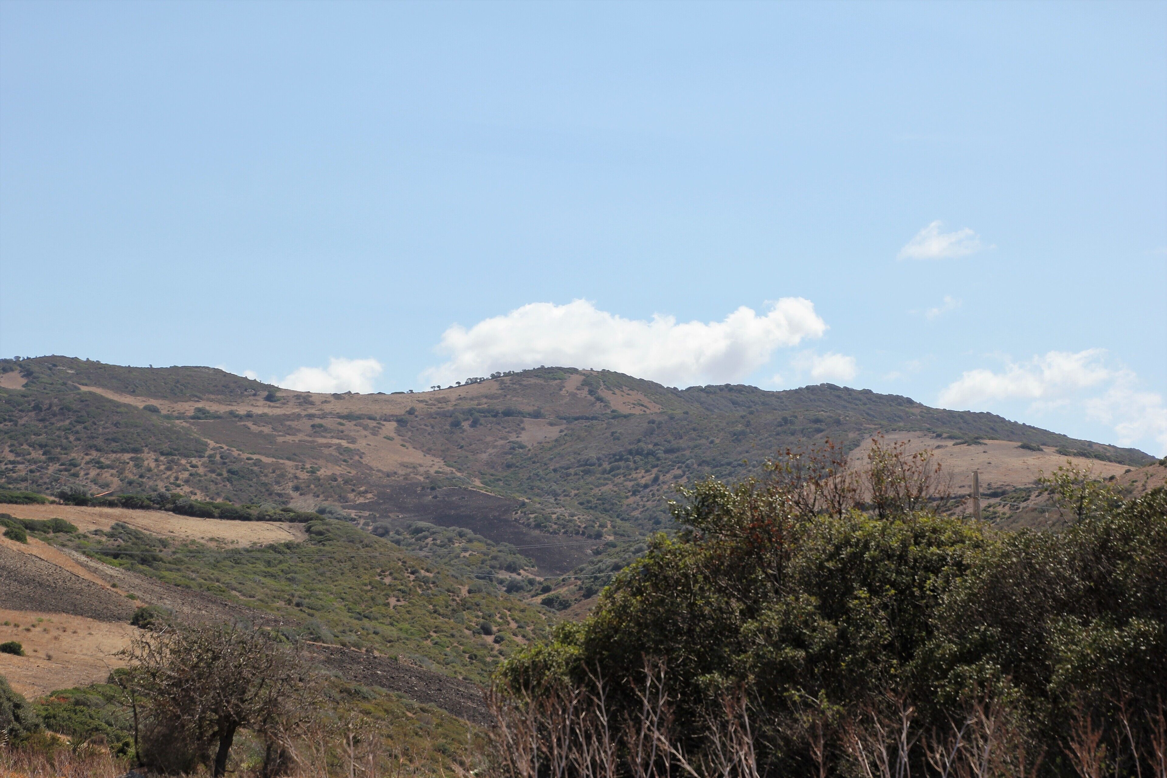 Sorso, monte Pischin D'Alias