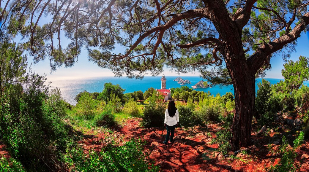 Gelidonya Cape or Taşlık Cape is a cape located in the Karaöz District of Kumluca's Mavikent Town, at the southern tip of the Teke Peninsula in Antalya.