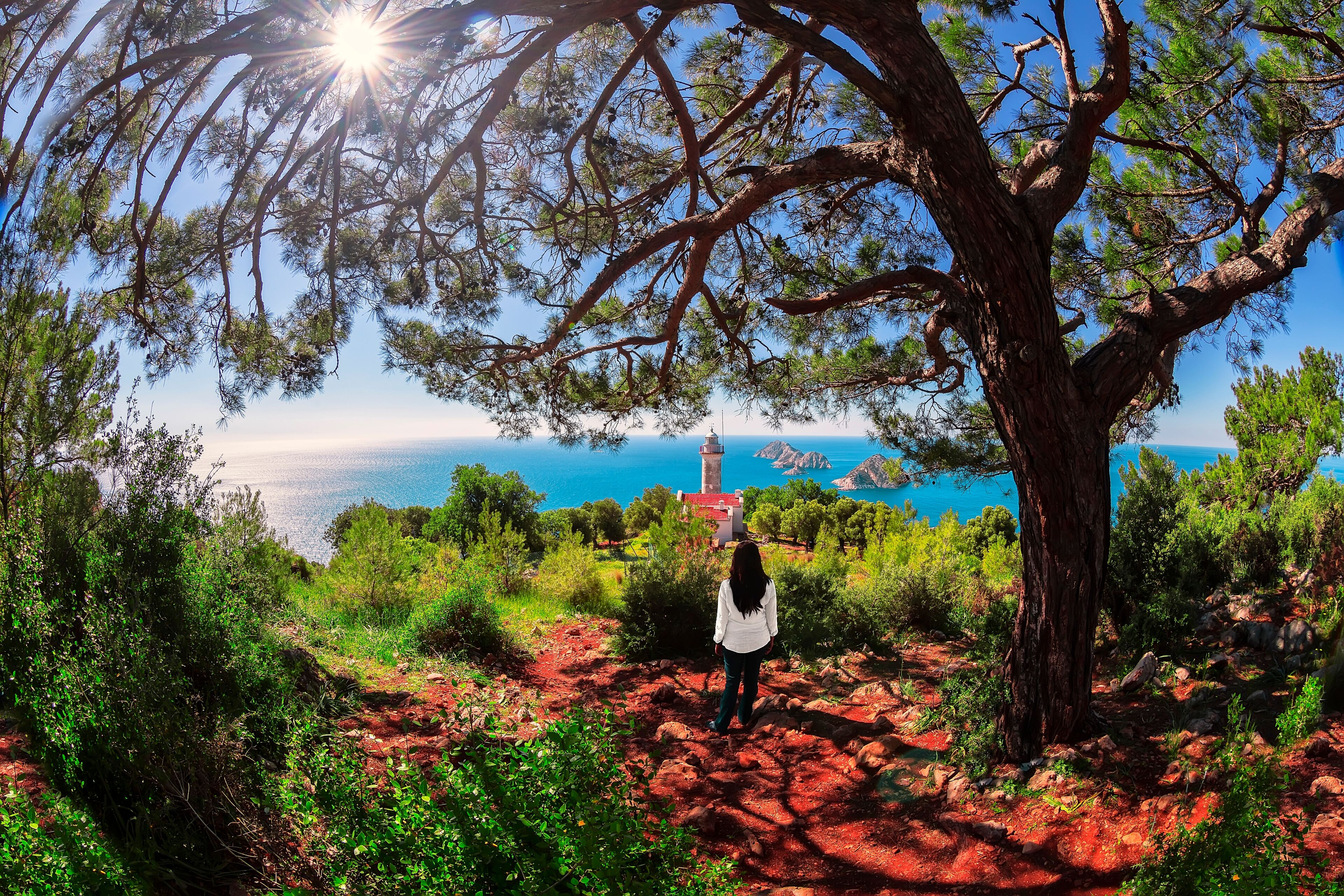 A person standing under a tree with a view of a lighthouse and the sea.