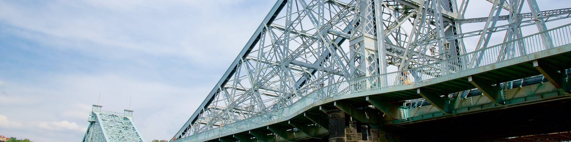 Blue Wonder Bridge featuring a bridge