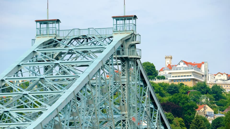 Blue Wonder Bridge featuring skyline and a bridge