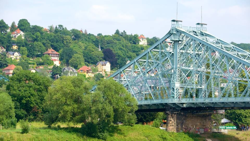 A large steel bridge over a river with houses and trees in the background.