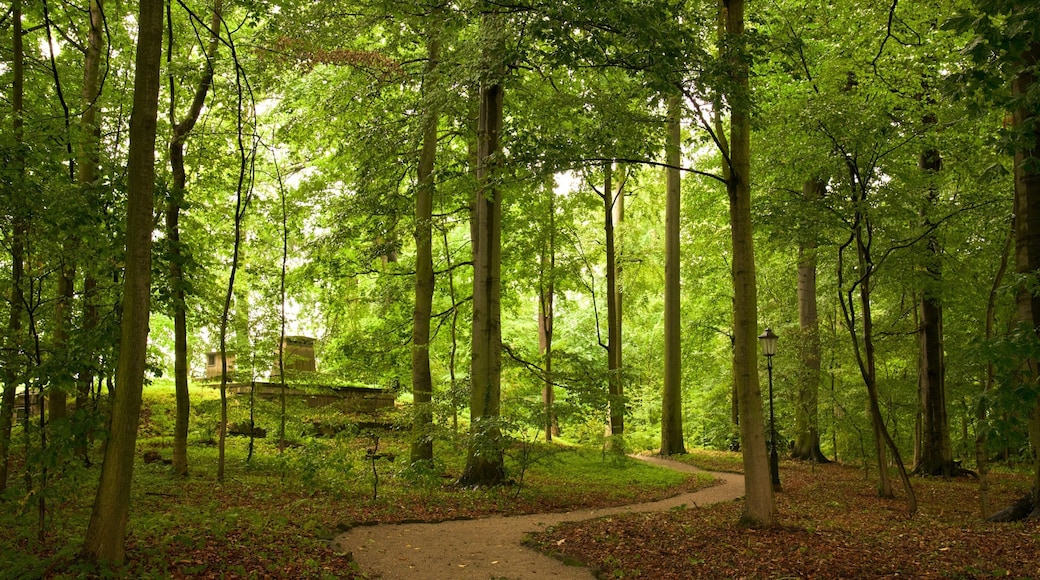 ケーニッヒスシュタイン要塞 表示 庭園