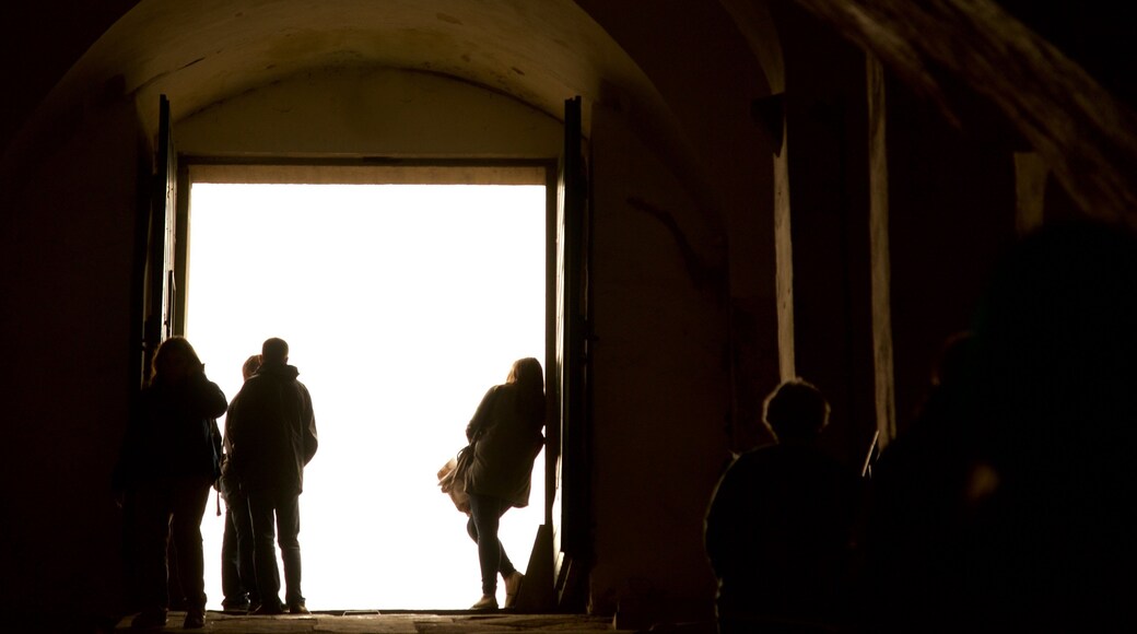 Königsteinin linnoitus